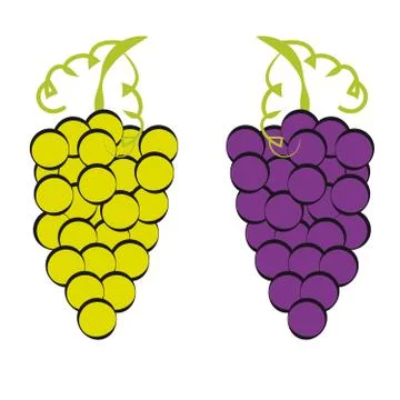 Grapes on white background Stock Illustration
