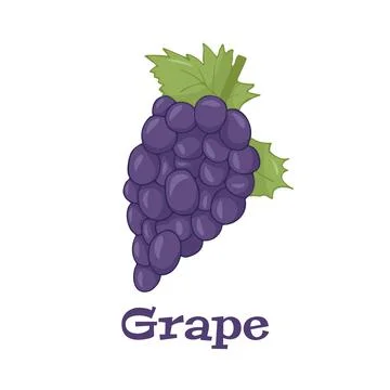 Grapes on a white background isolated. Vector illustration Stock Illustration