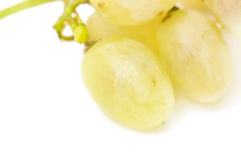 Grapes on a white background. macro Stock Photos