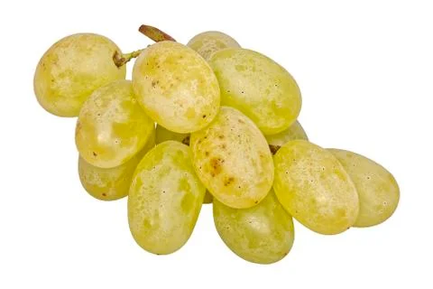 Grapes on a white background Stock Photos
