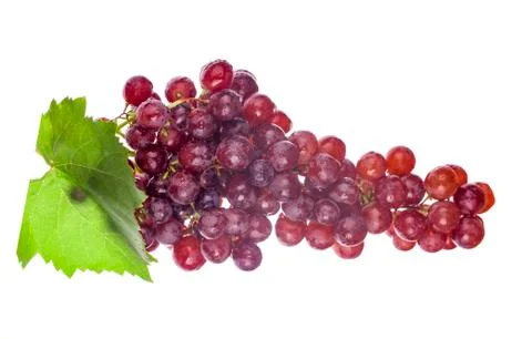 Grapes on a white background Stock Photos
