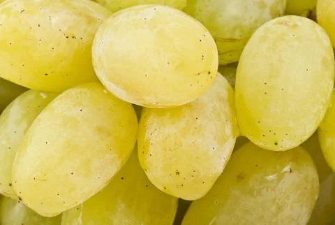 Grapes white on white Stock Photos