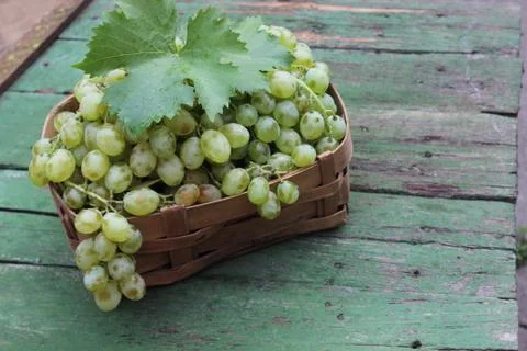 Grapes in a wicker basket Stock Photos