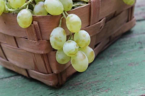 Grapes in a wicker basket Stock Photos