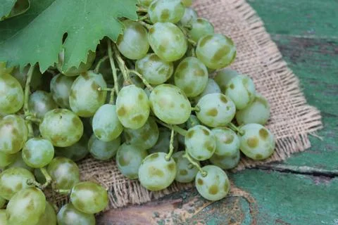 Grapes in a wicker basket Stock Photos