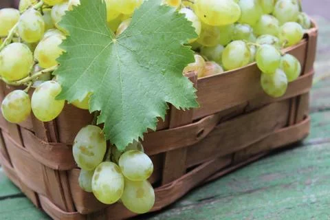 Grapes in a wicker basket Stock Photos