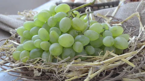 Grapes in a wicker plate Stock-Footage 43803487
