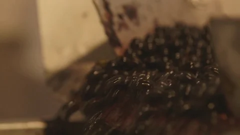 Grapes in wine making process Stock Footage 83863050