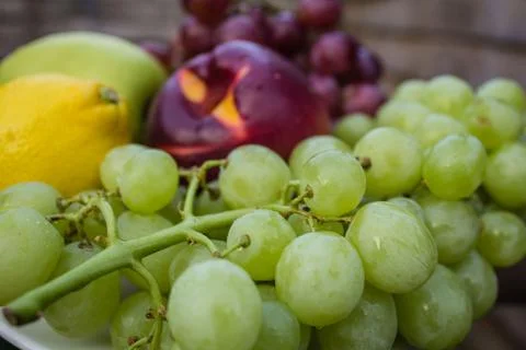 Grapes for wine Stock Photos