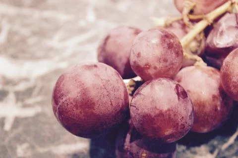 Grapes for wine Stock Photos