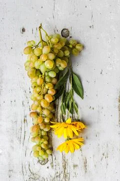 Grapes for wine Stock Photos