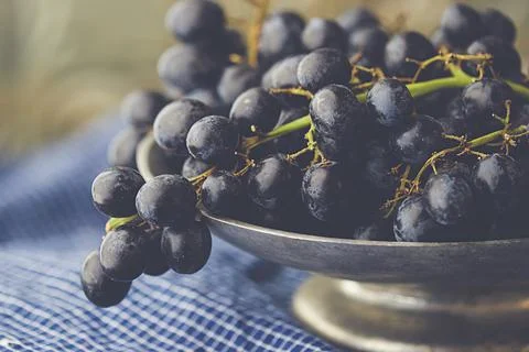 Grapes for wine Stock Photos