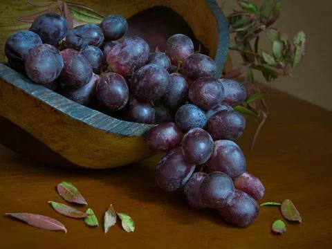 Grapes for wine Stock Photos