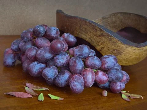 Grapes for wine Stock Photos