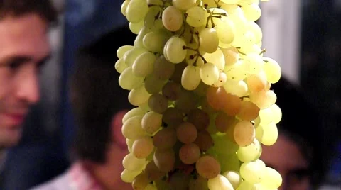 Grapes_fuit_02 Stock Footage 917518