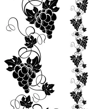 Grapevine design elements Stock Illustration