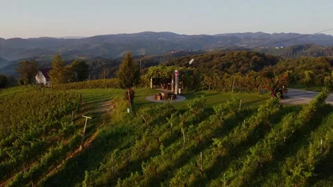 Grapevine Field 스톡 동영상 249871394