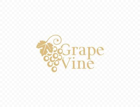 Grapevine with grape leaf vector logo design. Hanging grapes graphic design Illustrazione stock