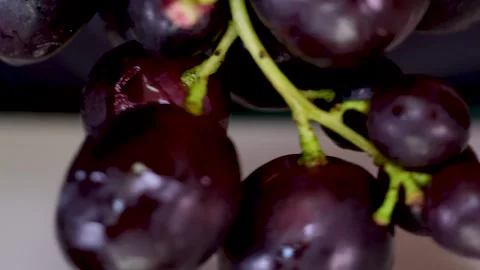 Grapevine growth set of elements, Planting process of grape from seeds, bud Video stock 254808565