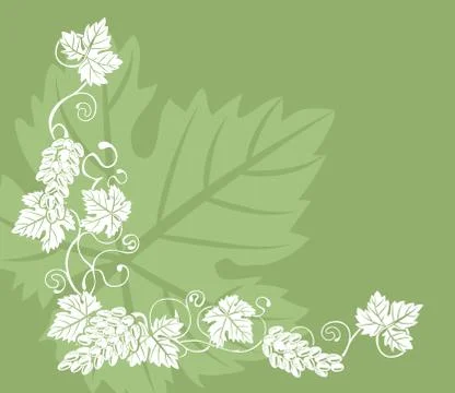 Grapevine illustration background Stock Illustration