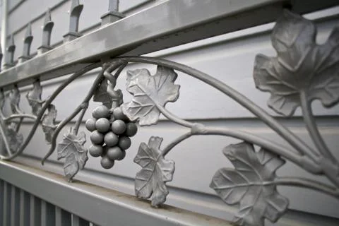 Grapevine iron gate Stock Photos