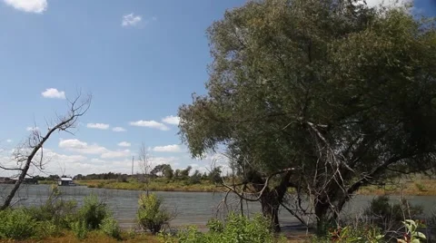Grapevine Lake Vidéo 68595439