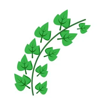 Grapevine semi flat color vector object Ilustração Stock