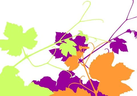 Grapevine Vector illustration of grape vine leaves Copyright: xZoonar.com/... Stock Photos