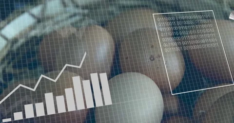Graph and binary code animation over eggs in grid pattern Stock Footage 305192685