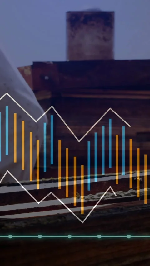 Graph animation over beekeeping activities showing fluctuating data trends Stock Footage 341956864