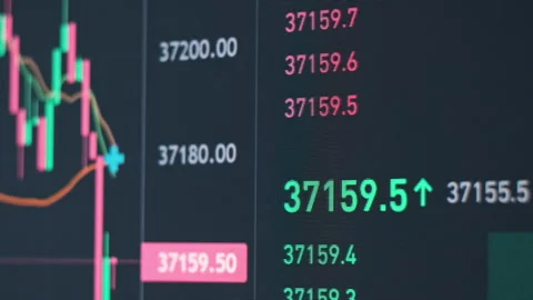 Graph of Bitcoin Trading on the Crypto Exchange with Price Evolution Stock Footage 255602432