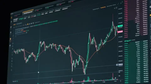 Graph of Bitcoin Trading on the Crypto Exchange with Price Evolution Stock Footage 255606558