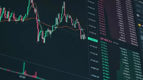 Graph of Bitcoin Trading on the Crypto Exchange with Price Evolution Stock Footage 255705588
