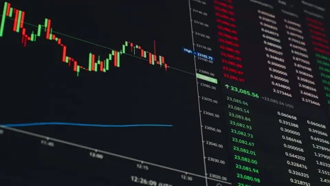 Graph of crypto currency online. Economic graphics of coins on monitor Stock Footage 238551900
