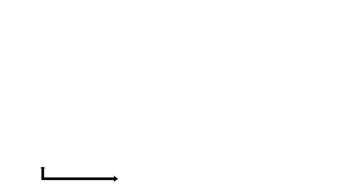 Graph diagram animation Stock Footage 70463657