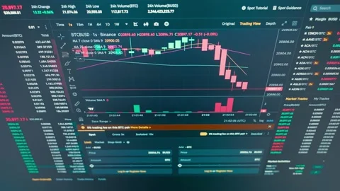 Graph of growth, fall of cryptocurrency. Stock Footage 230966650