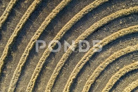 A graphic aerial view of cut canola lines in a circular pattern in a field, West Stock Photos