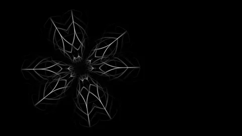 Graphic background of abstract flower - seamless (FULL HD) Video stock 80346658