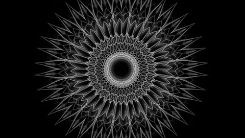 Graphic background with complex floral ornament - seamless looping (FULL HD) Video stock 81670688