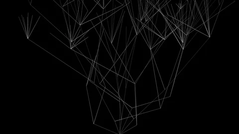 Graphic background of complex line structure - on black (4K) Stockbeeldmateriaal 116342372