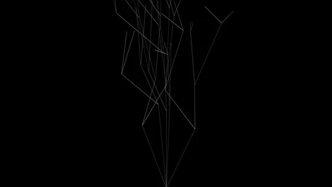 Graphic background of flowing white lines drawing abstract structure  (4K) Vidéo 116342049