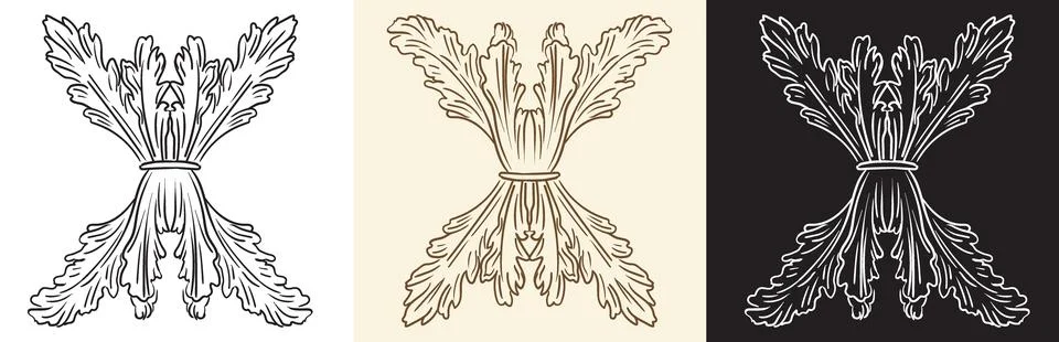 Graphic baroque design element set in three colors vector Stock Illustration