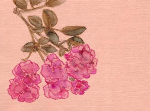 Graphic color pattern pink delicate roses on a brown background, copy space 스톡 일러스트