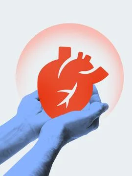 Graphic composition. Hands holding red heart icon symbolizing medical insurance Stock Photos