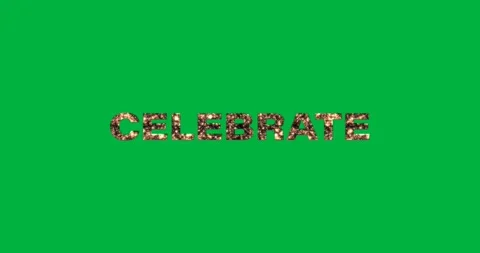 Graphic designer showcasing celebrate typography on transparent canvas, with Stock Footage 317527019