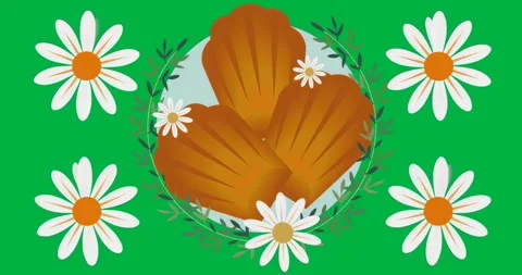 Graphic designer showcasing shell motif over transparent background, including Stock Footage 317450103