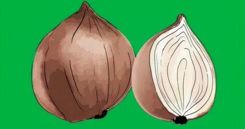 Graphic designer showing hazelnut shells on transparent background revealing Stock Footage 317449975