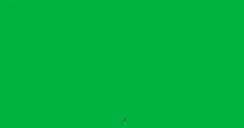 Graphic designers using solid black rectangle on transparent background, Stock Footage 317479472