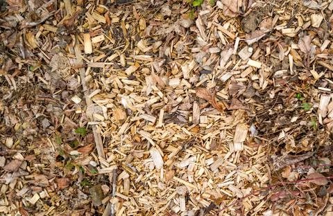 Graphic elements Foto stock