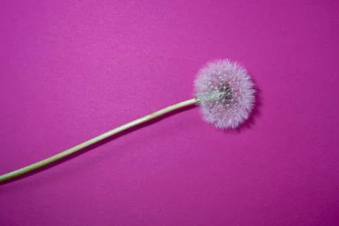 Graphic elements photographed Foto stock